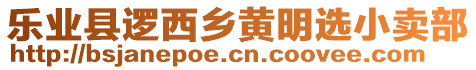 樂業(yè)縣邏西鄉(xiāng)黃明選小賣部