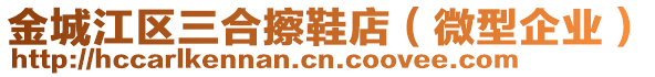 金城江區(qū)三合擦鞋店（微型企業(yè)）