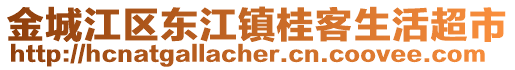 金城江區(qū)東江鎮(zhèn)桂客生活超市