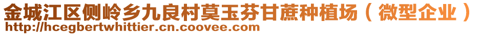 金城江區(qū)側(cè)嶺鄉(xiāng)九良村莫玉芬甘蔗種植場（微型企業(yè)）