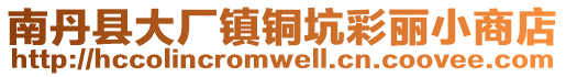 南丹县大厂镇铜坑彩丽小商店