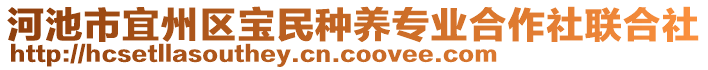 河池市宜州區(qū)寶民種養(yǎng)專業(yè)合作社聯(lián)合社