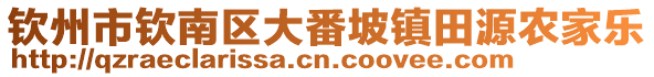 钦州市钦南区大番坡镇田源农家乐