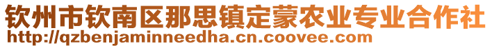 欽州市欽南區(qū)那思鎮(zhèn)定蒙農(nóng)業(yè)專業(yè)合作社