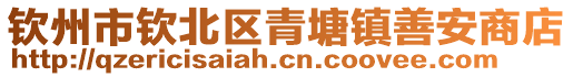 钦州市钦北区青塘镇善安商店