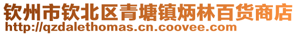 欽州市欽北區(qū)青塘鎮(zhèn)炳林百貨商店