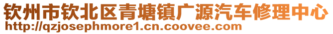 欽州市欽北區(qū)青塘鎮(zhèn)廣源汽車修理中心