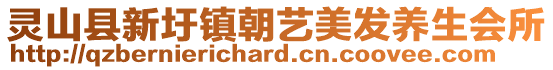 靈山縣新圩鎮(zhèn)朝藝美發(fā)養(yǎng)生會所