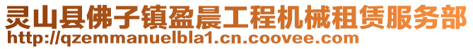 灵山县佛子镇盈晨工程机械租赁服务部