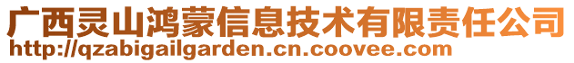 廣西靈山鴻蒙信息技術(shù)有限責(zé)任公司