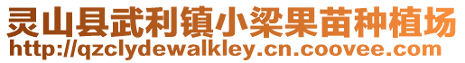 靈山縣武利鎮小梁果苗種植場