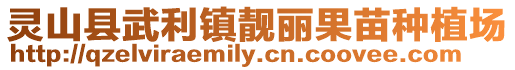 靈山縣武利鎮(zhèn)靚麗果苗種植場(chǎng)