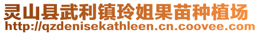 靈山縣武利鎮玲姐果苗種植場