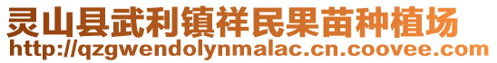 靈山縣武利鎮(zhèn)祥民果苗種植場