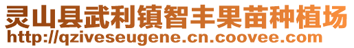 靈山縣武利鎮智豐果苗種植場