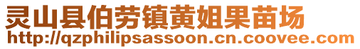 靈山縣伯勞鎮(zhèn)黃姐果苗場(chǎng)