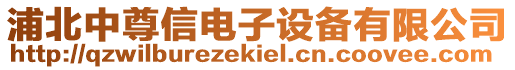 浦北中尊信電子設(shè)備有限公司