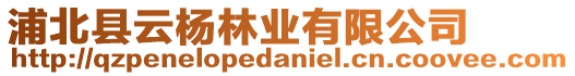 浦北縣云楊林業(yè)有限公司