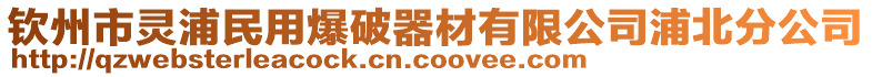 欽州市靈浦民用爆破器材有限公司浦北分公司