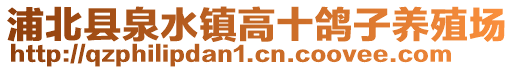 浦北縣泉水鎮高十鴿子養殖場