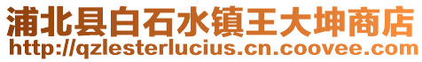 浦北縣白石水鎮王大坤商店