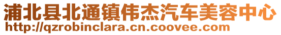 浦北縣北通鎮偉杰汽車美容中心