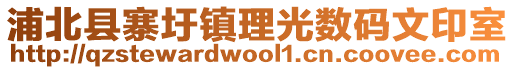 浦北縣寨圩鎮理光數碼文印室