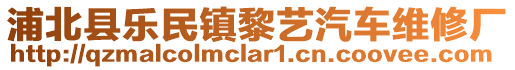 浦北縣樂民鎮黎藝汽車維修廠