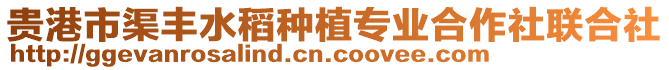 貴港市渠豐水稻種植專業(yè)合作社聯(lián)合社