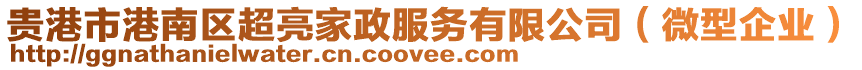 貴港市港南區(qū)超亮家政服務(wù)有限公司（微型企業(yè)）