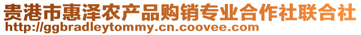 貴港市惠澤農(nóng)產(chǎn)品購銷專業(yè)合作社聯(lián)合社