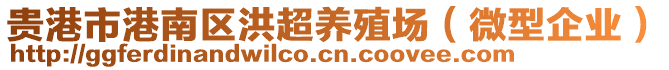 貴港市港南區(qū)洪超養(yǎng)殖場（微型企業(yè)）