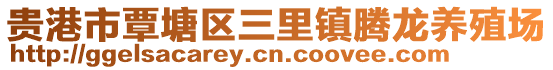 贵港市覃塘区三里镇腾龙养殖场