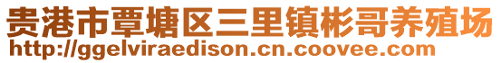 貴港市覃塘區(qū)三里鎮(zhèn)彬哥養(yǎng)殖場
