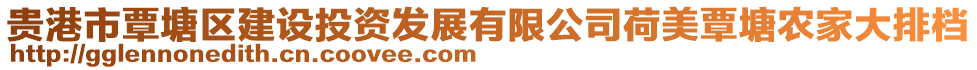 贵港市覃塘区建设投资发展有限公司荷美覃塘农家大排档