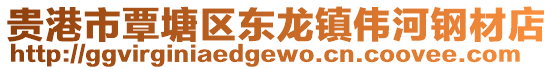 貴港市覃塘區(qū)東龍鎮(zhèn)偉河鋼材店
