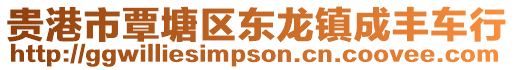 貴港市覃塘區東龍鎮成豐車行