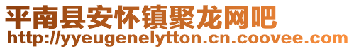 平南縣安懷鎮聚龍網吧