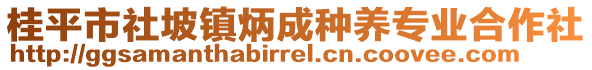 桂平市社坡鎮(zhèn)炳成種養(yǎng)專業(yè)合作社