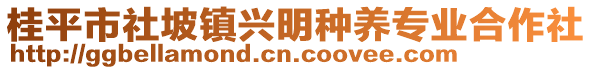 桂平市社坡鎮(zhèn)興明種養(yǎng)專業(yè)合作社