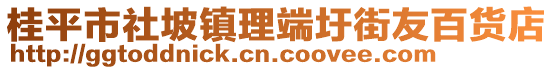 桂平市社坡鎮(zhèn)理端圩街友百貨店