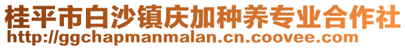 桂平市白沙鎮(zhèn)慶加種養(yǎng)專業(yè)合作社