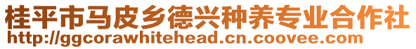 桂平市馬皮鄉(xiāng)德興種養(yǎng)專業(yè)合作社