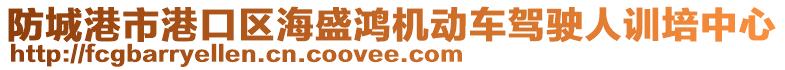 防城港市港口區(qū)海盛鴻機(jī)動(dòng)車駕駛?cè)擞?xùn)培中心