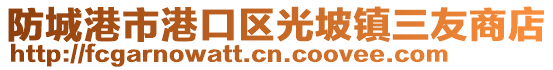 防城港市港口區(qū)光坡鎮(zhèn)三友商店