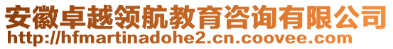 安徽卓越領(lǐng)航教育咨詢有限公司