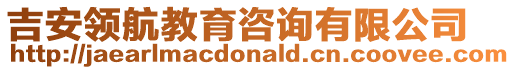 吉安領(lǐng)航教育咨詢有限公司