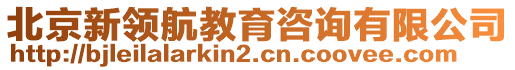 北京新領(lǐng)航教育咨詢有限公司