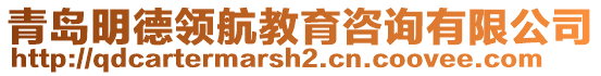 青島明德領航教育咨詢有限公司