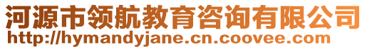 河源市领航教育咨询有限公司